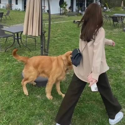 支离人